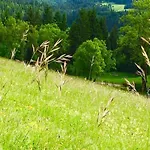 Beausoleil Xl-geneva, Lake, Mountains-full Stay-spa Optional Extra Fee *